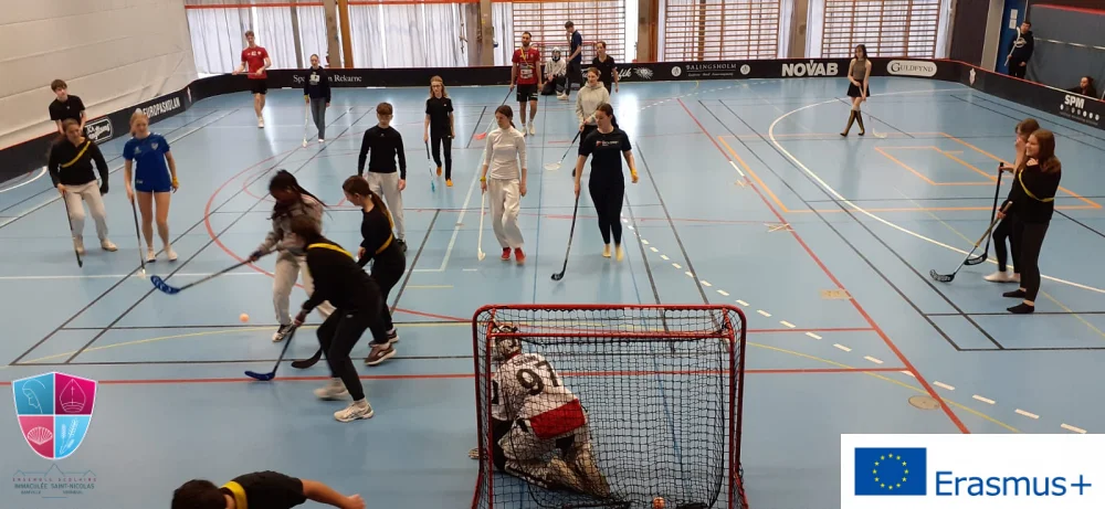 Illustration pour Erasmus+ en Suède